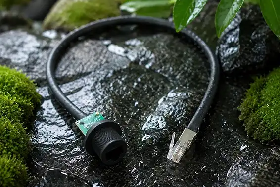 RJ45 Ethernet Waterproof Connector vs Standard RJ45 Connector: Key Differences